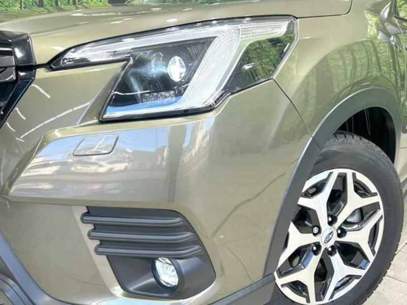 FORESTER-11