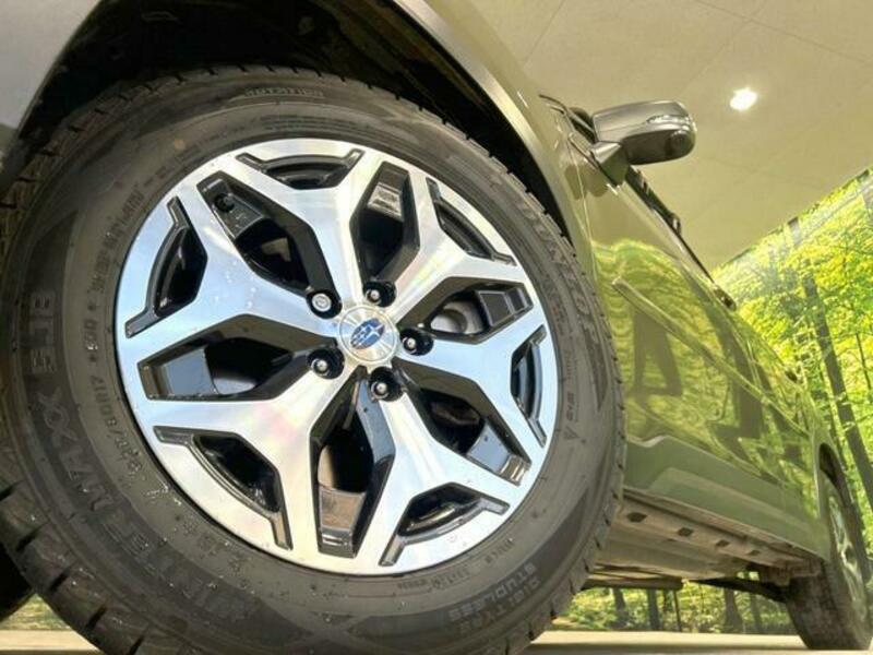 FORESTER-12