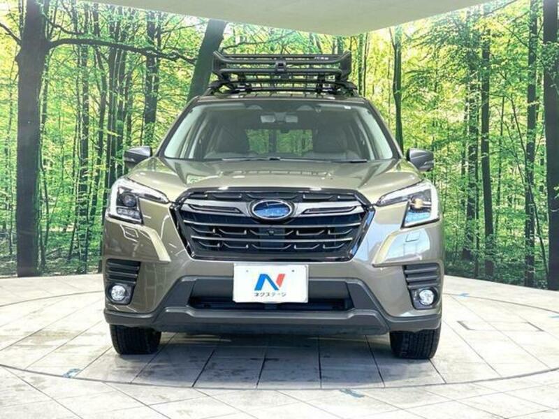 FORESTER-13