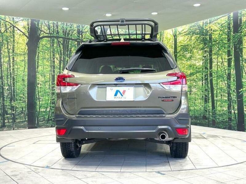 FORESTER-14