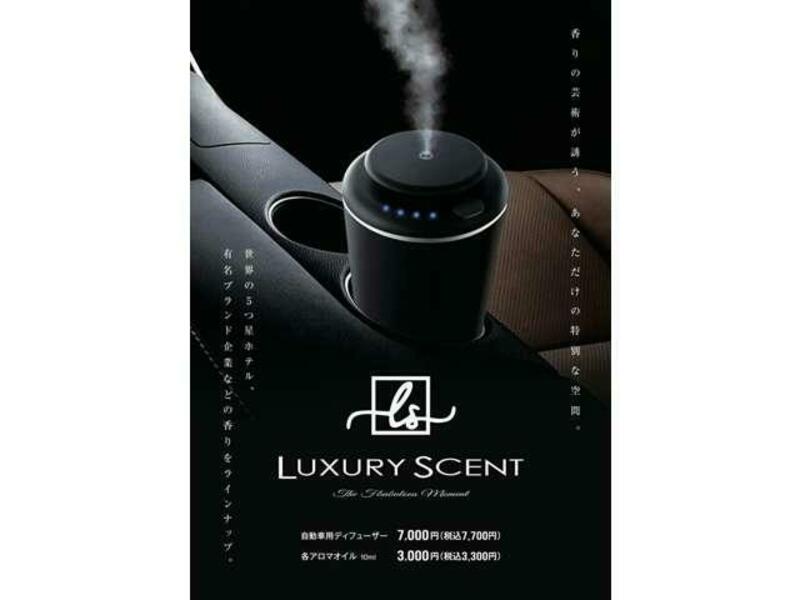 LS-1