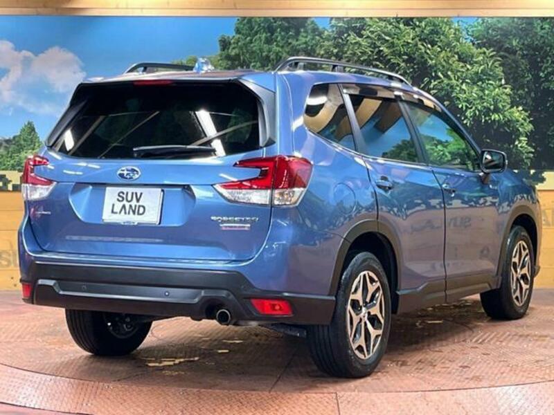 FORESTER-17
