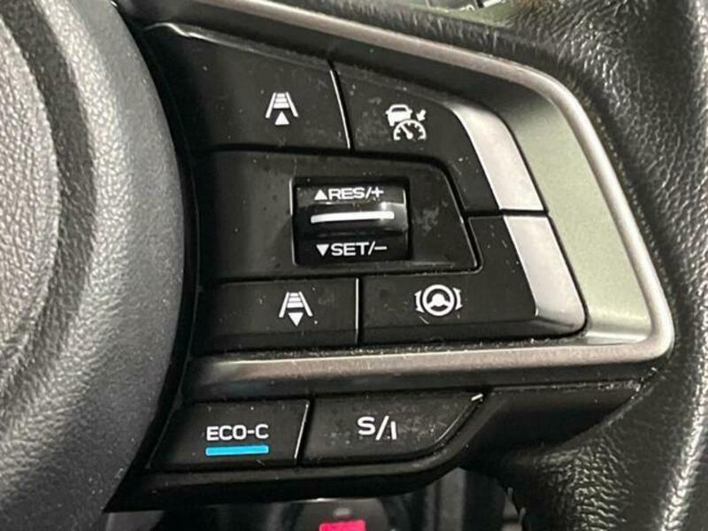FORESTER-3