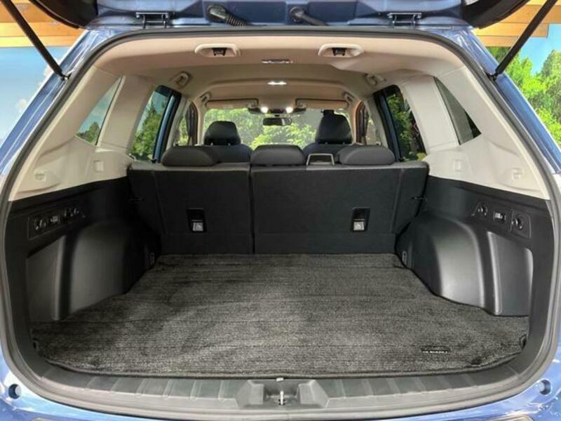 FORESTER-10