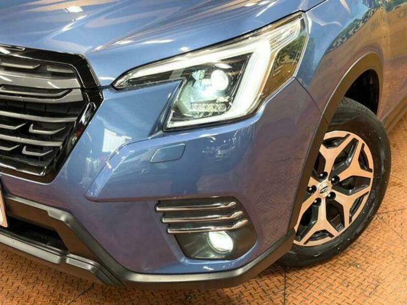 FORESTER-12