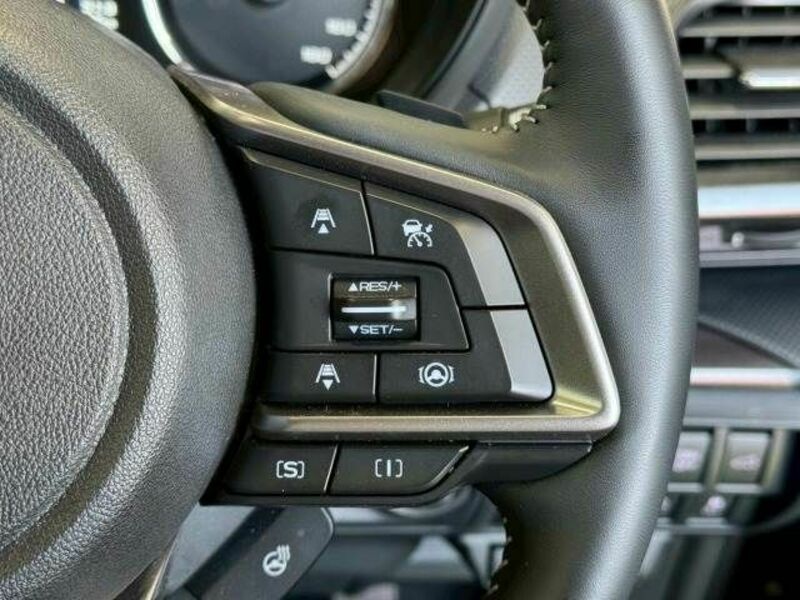 FORESTER-6