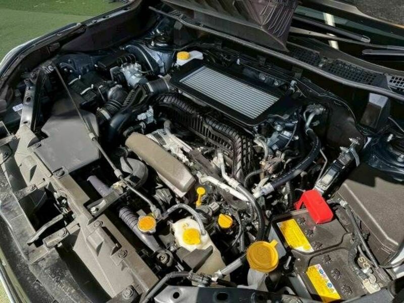 FORESTER-17