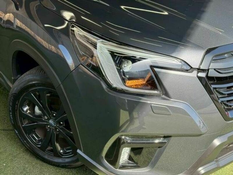 FORESTER-19