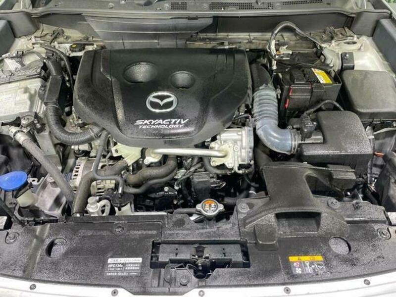 CX-3-17