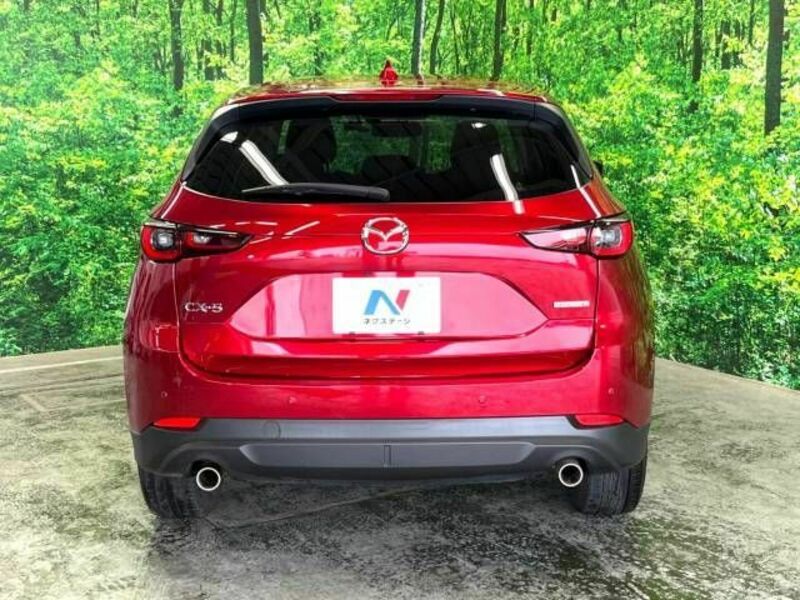CX-5-13