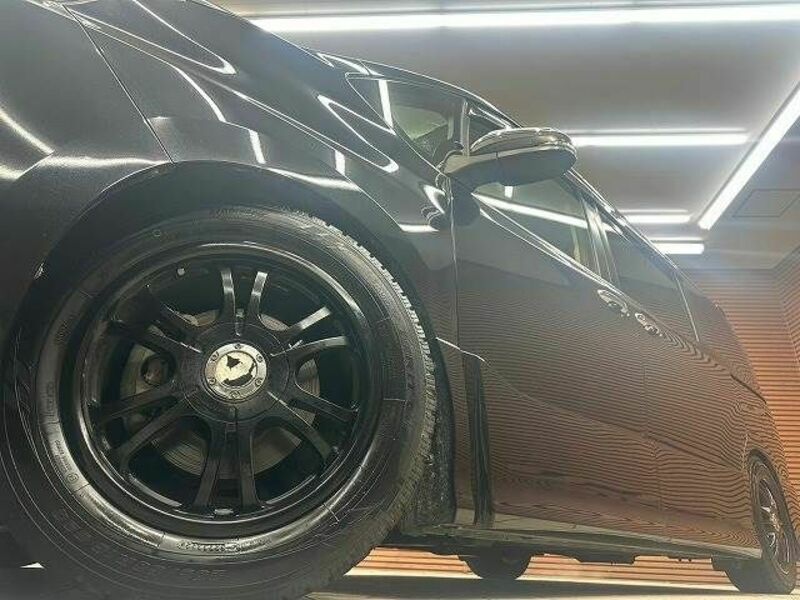 VOXY-18