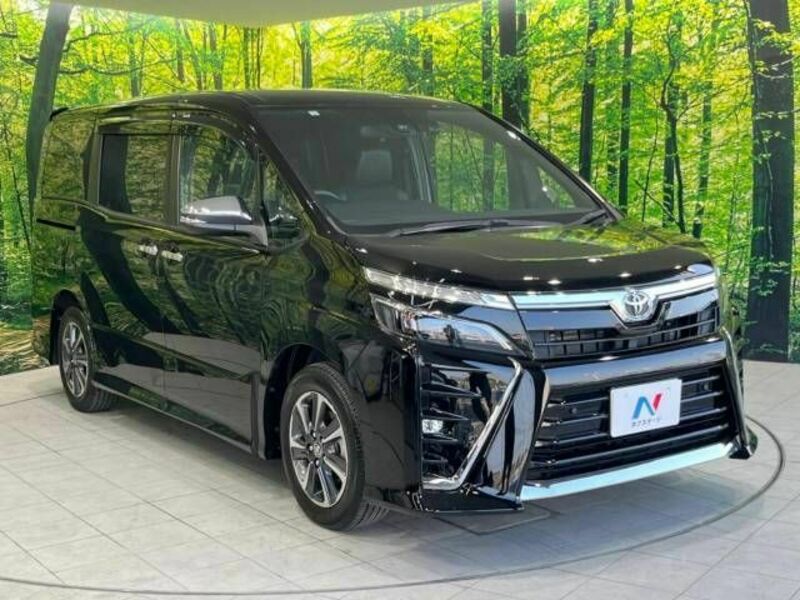 VOXY-17