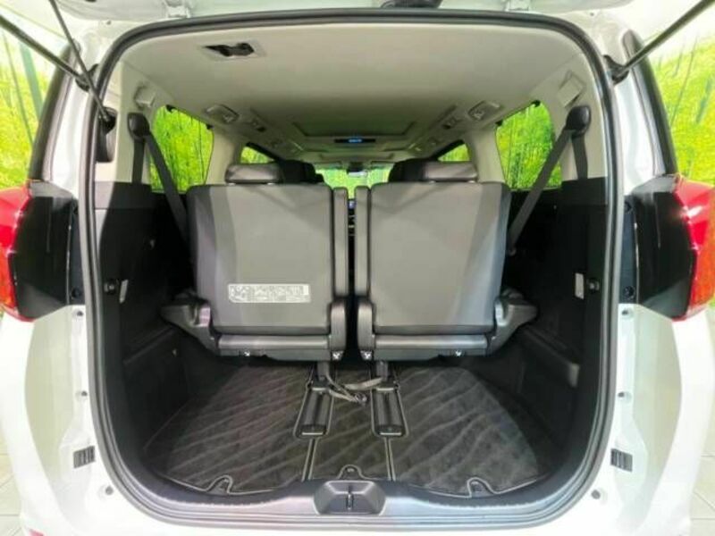 ALPHARD-11