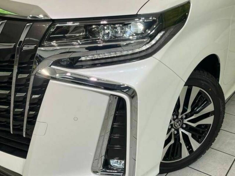 ALPHARD-13