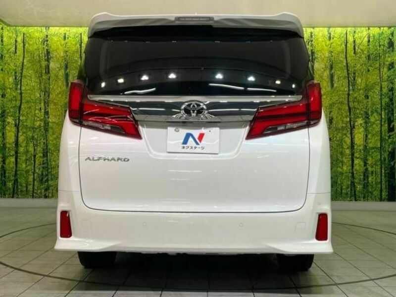 ALPHARD-16