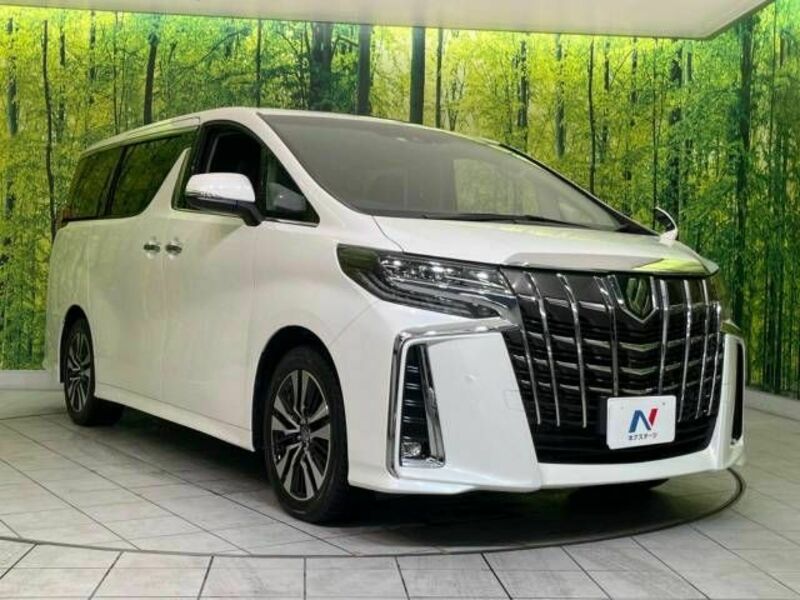 ALPHARD-17