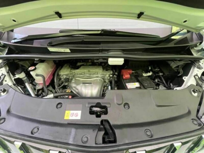 ALPHARD-19