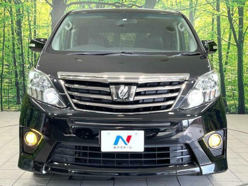 ALPHARD-15