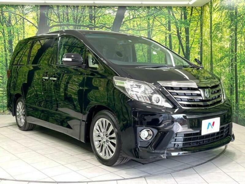 ALPHARD-17