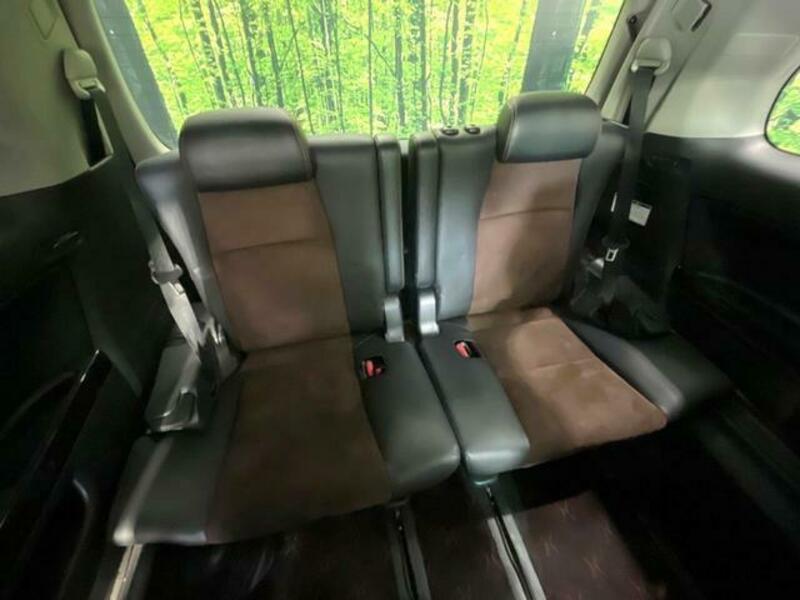 ALPHARD-10