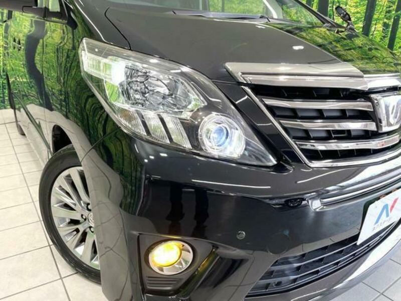 ALPHARD-13