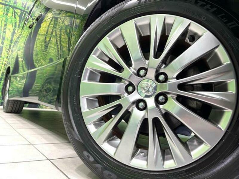 ALPHARD-14