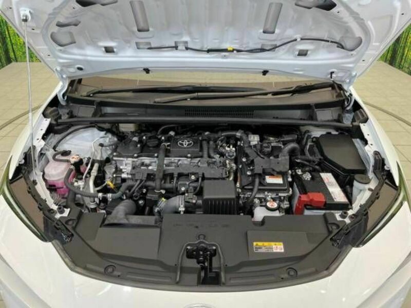 PRIUS-17