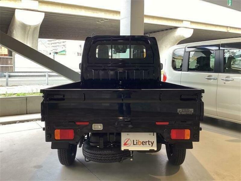 CARRY TRUCK-5