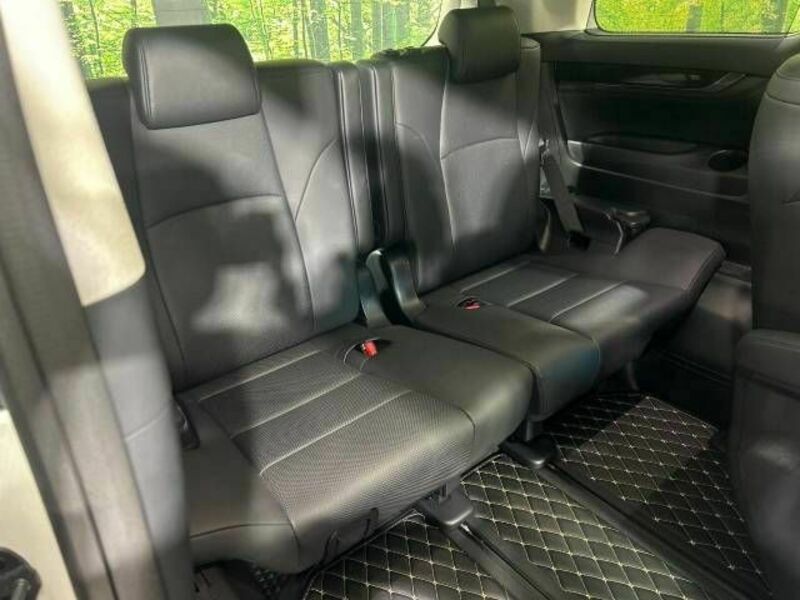 ALPHARD-10