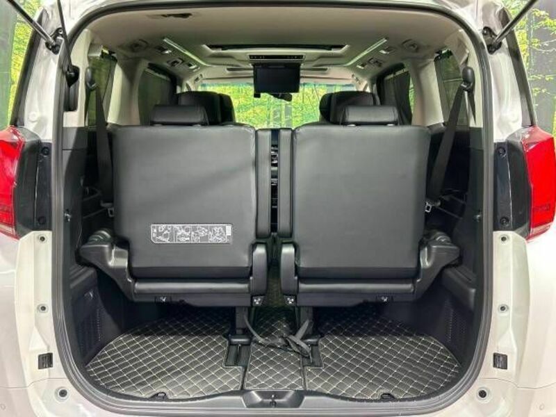 ALPHARD-11