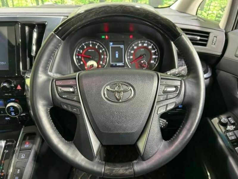 ALPHARD-12