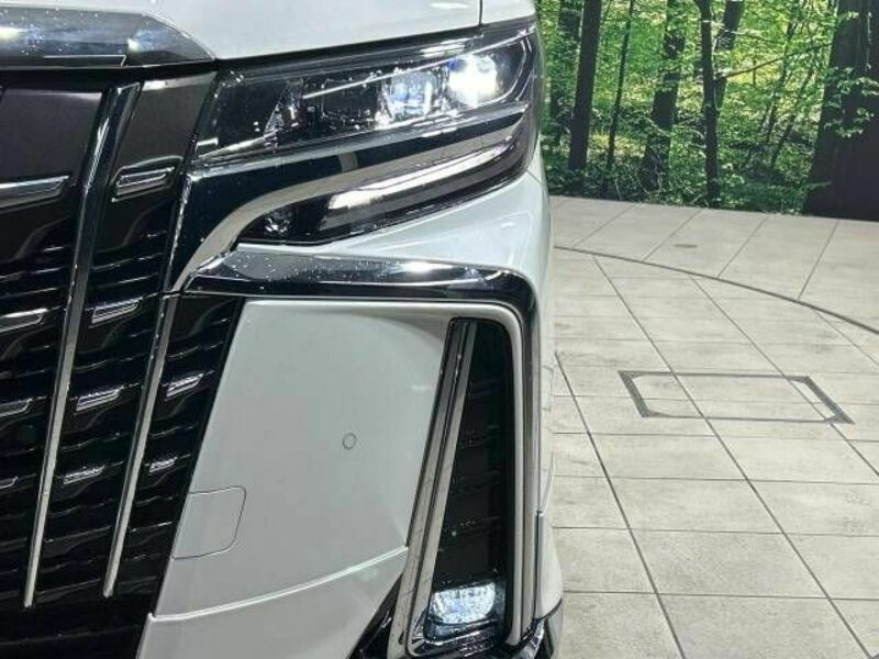 ALPHARD-13