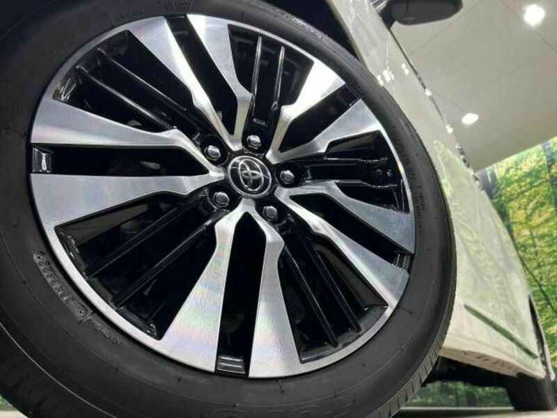 ALPHARD-14