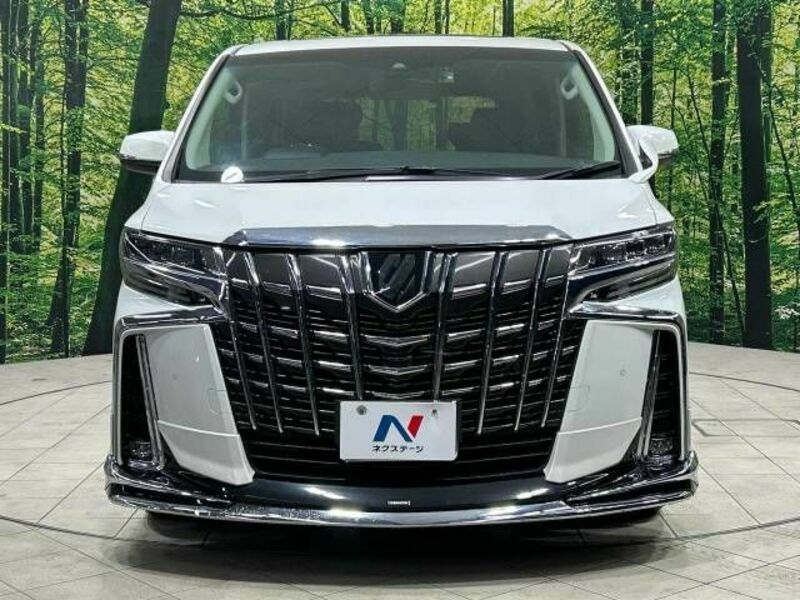 ALPHARD-15
