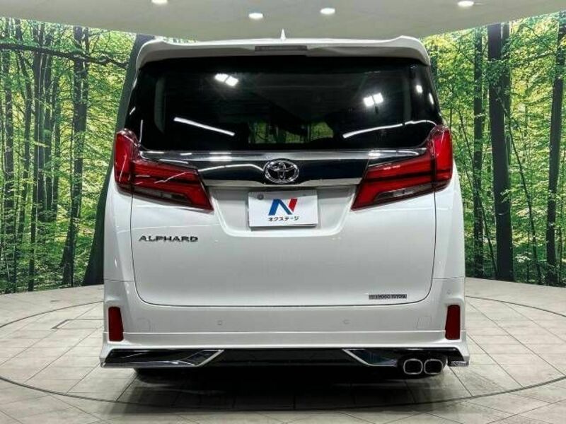 ALPHARD-16