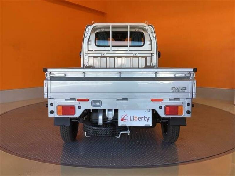 CARRY TRUCK-13