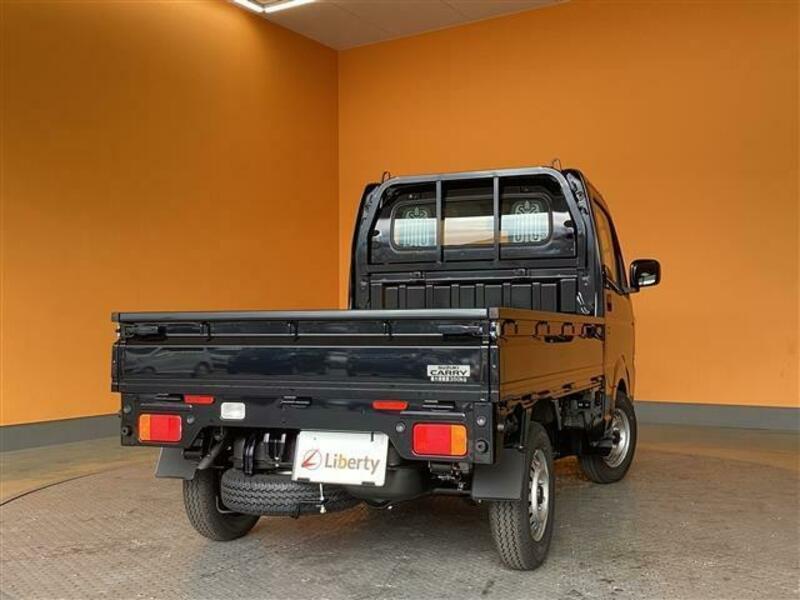 CARRY TRUCK-5