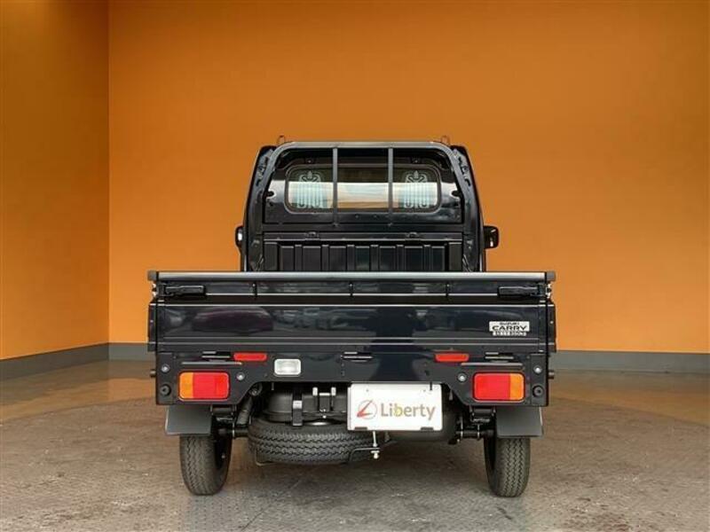 CARRY TRUCK-6