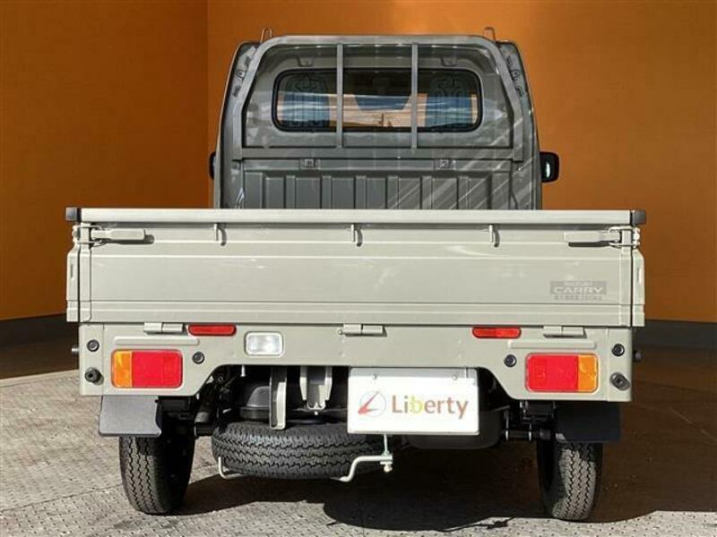 CARRY TRUCK-16