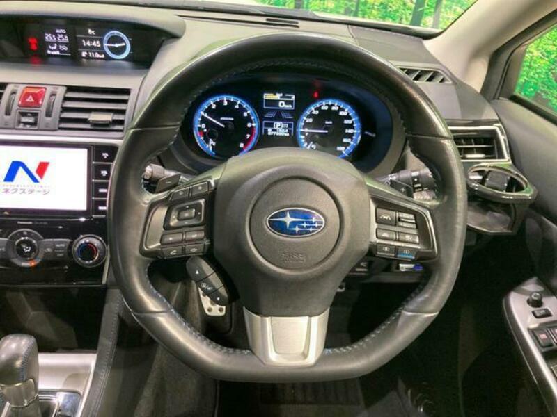 LEVORG-11