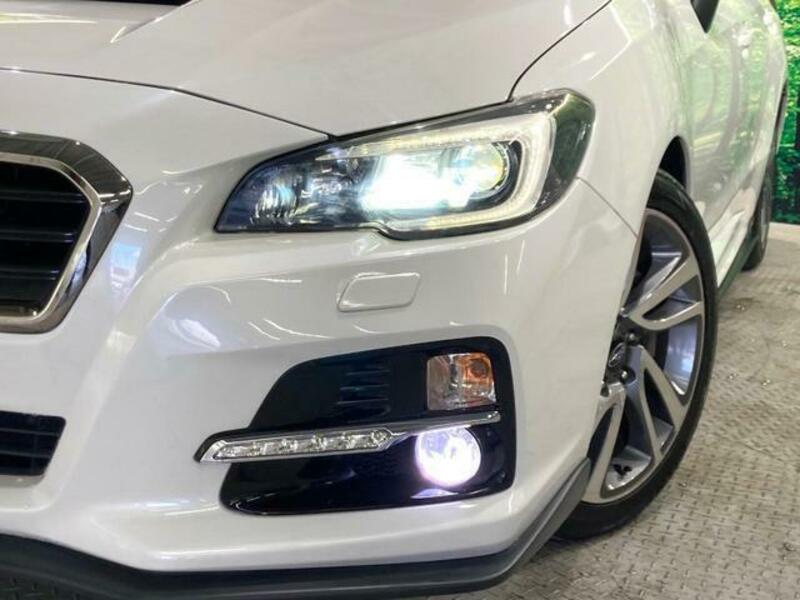 LEVORG-12