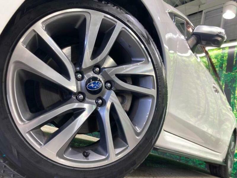 LEVORG-13