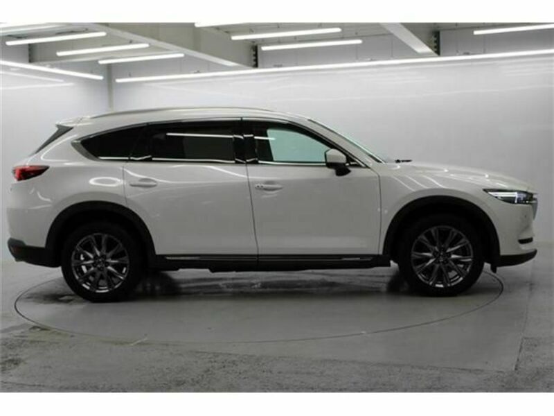 CX-8-7