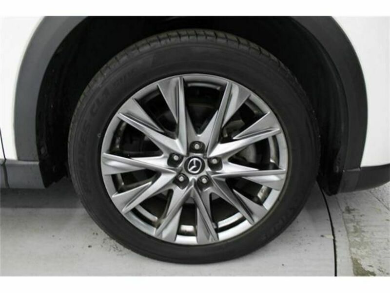 CX-8-12
