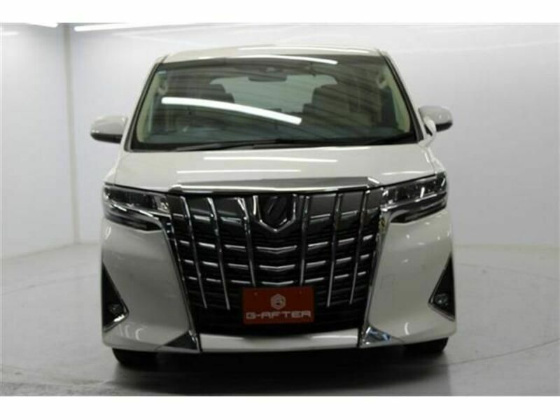 ALPHARD-6