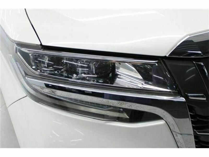 ALPHARD-10