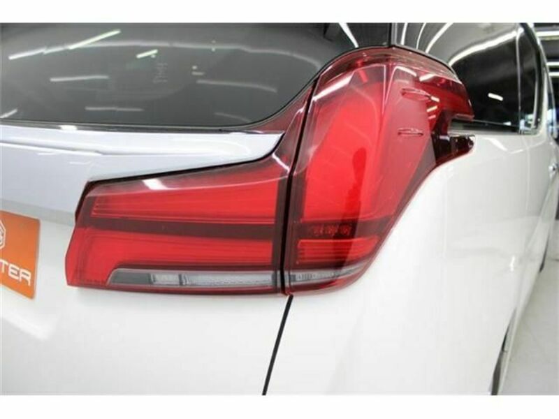 ALPHARD-11