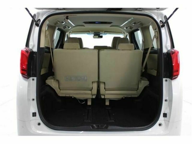 ALPHARD-17