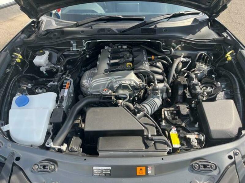 ROADSTER-16