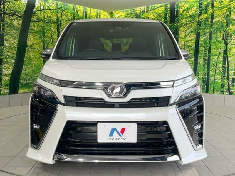 VOXY-13